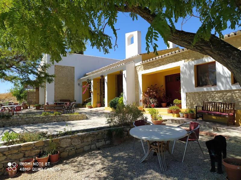 مبيت وإفطار Setenil De Las Bodegas La Escuela Del Campo المظهر الخارجي الصورة