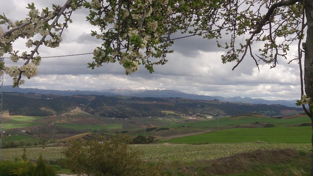مبيت وإفطار Setenil De Las Bodegas La Escuela Del Campo المظهر الخارجي الصورة